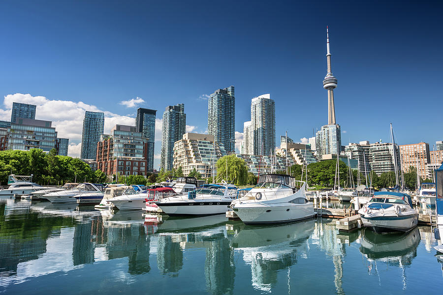 Cầu cảng Harbourfront tọa lạc tại thành phố Toronto Canada