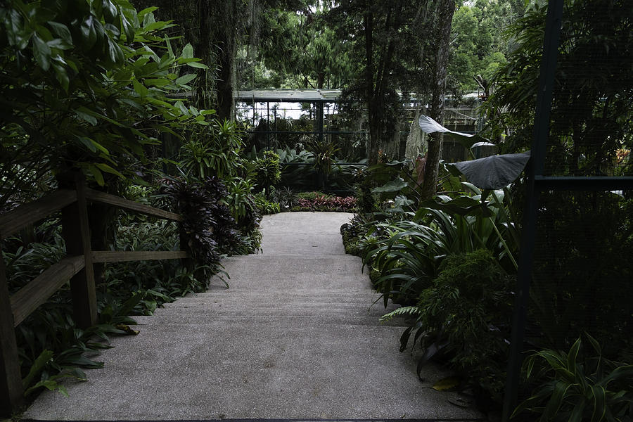 Downward sloping part inside the National Orchid garden in Singapore Photograph by Ashish Agarwal