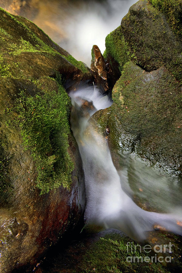 Downwards Photograph by Mark Baker Fine Art America