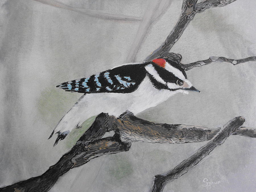 Downy Woodpecker Painting by Susan Bruner