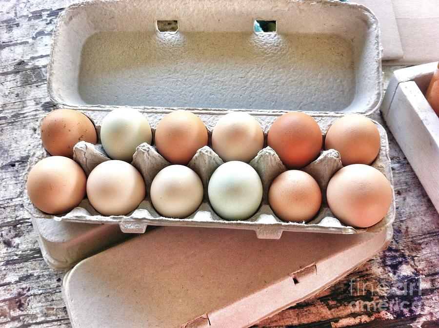 Dozen Eggs Photograph by Susan Garren