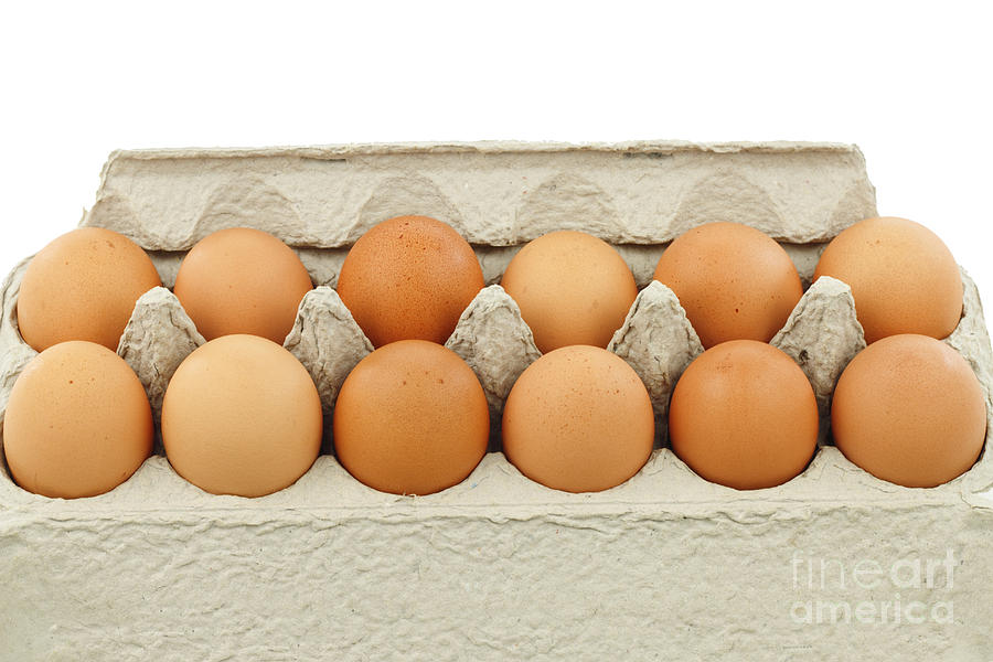 Dozen Organic Eggs Photograph