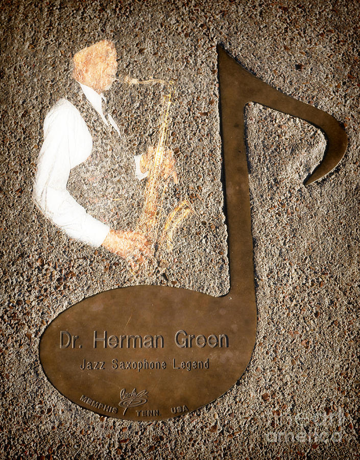 Dr Herman Green Note Photograph by Donna Greene