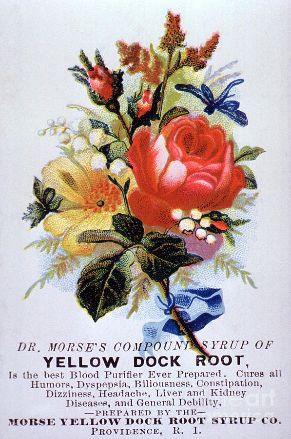 Dr Morses Yellow Dock Root Syrup Photograph by NLM Science Source