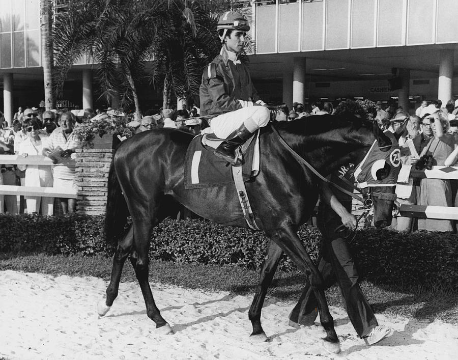 Dr. Valeri Horse Racing Vintage Photograph by Retro Images Archive