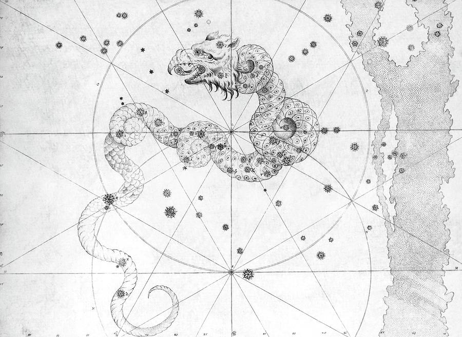 Draco Constellation Photograph by Royal Astronomical Society/science Photo Library