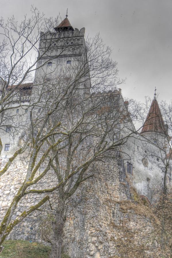 Castle Photograph - Draculas Castle by Matthew Bamberg