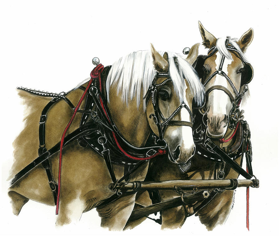Original Watercolor and Ink Art Draft Horse Painting Watercolor
