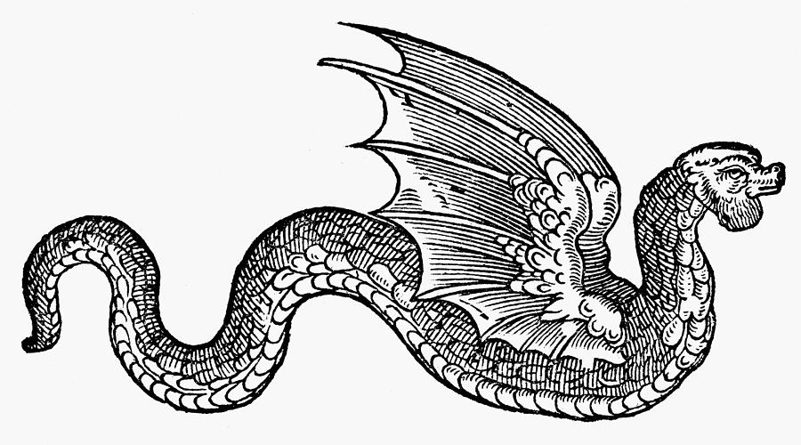 Dragon, 1608 Painting by Granger