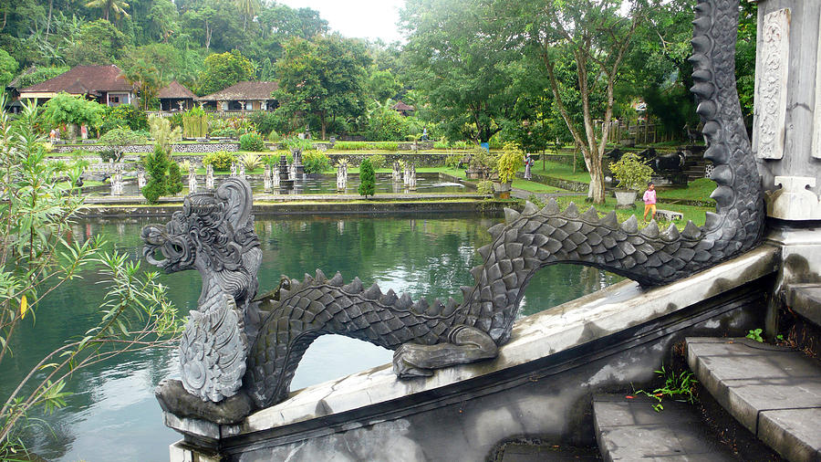 Bali Photograph - Dragon by pool by Jack Edson Adams Bali Photograph - Dragon by pool by Jack Edson Adams