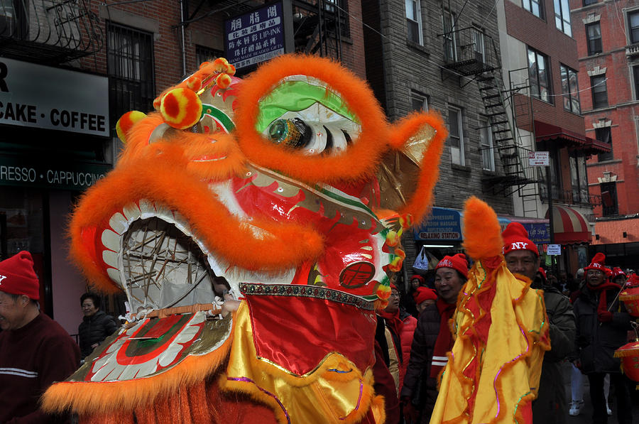 Dragon Chinese New Year Photograph by Diane Lent