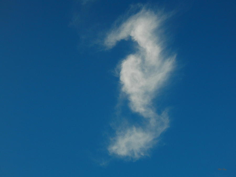 Water Dragon Cloud Photograph by Wild Thing