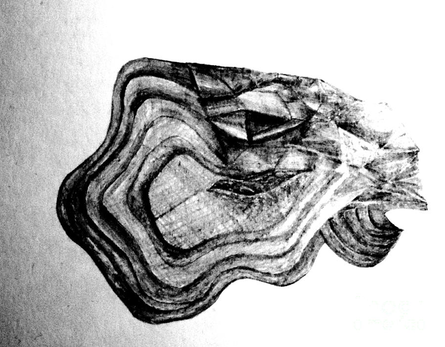 Dragon Diamond Eye Drawing by Laura Hamill