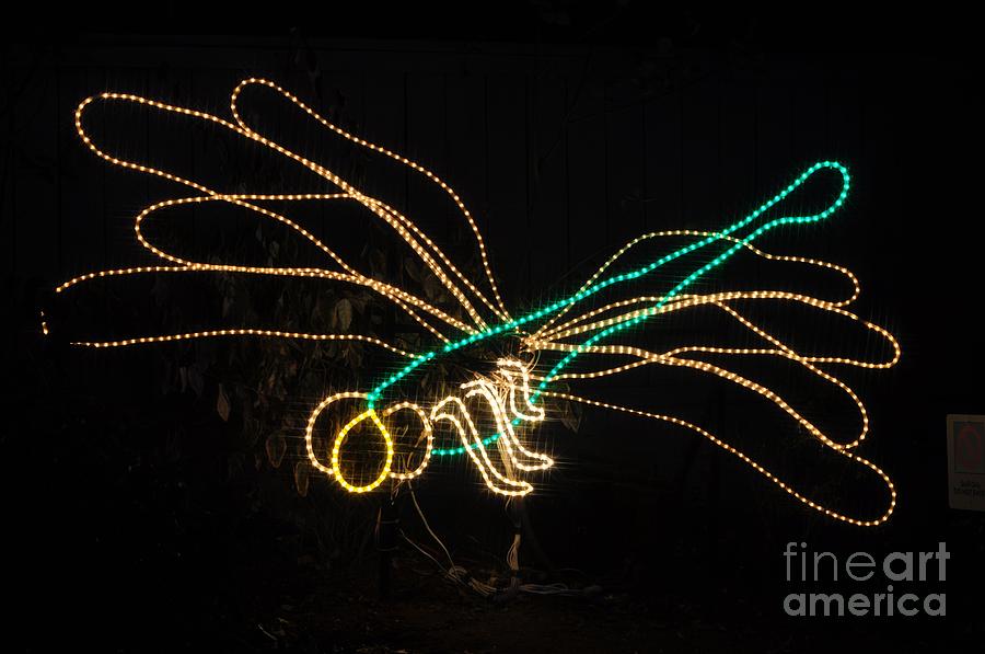 Light Photograph - Dragon Fly by M J