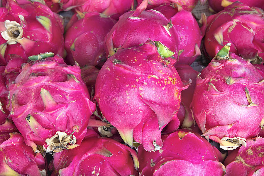 Dragon Fruit Closeup Background Photograph by Jit Lim - Fine Art America