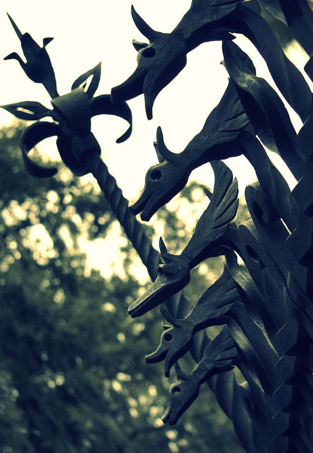 Abstract Photograph - Dragon Gate by Laurie Perry