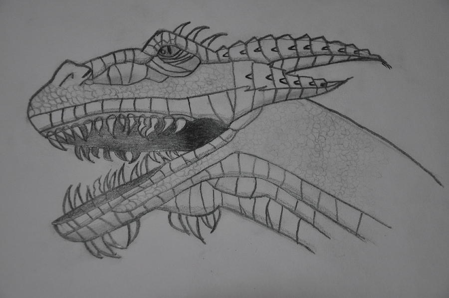 dragon head drawings in pencil