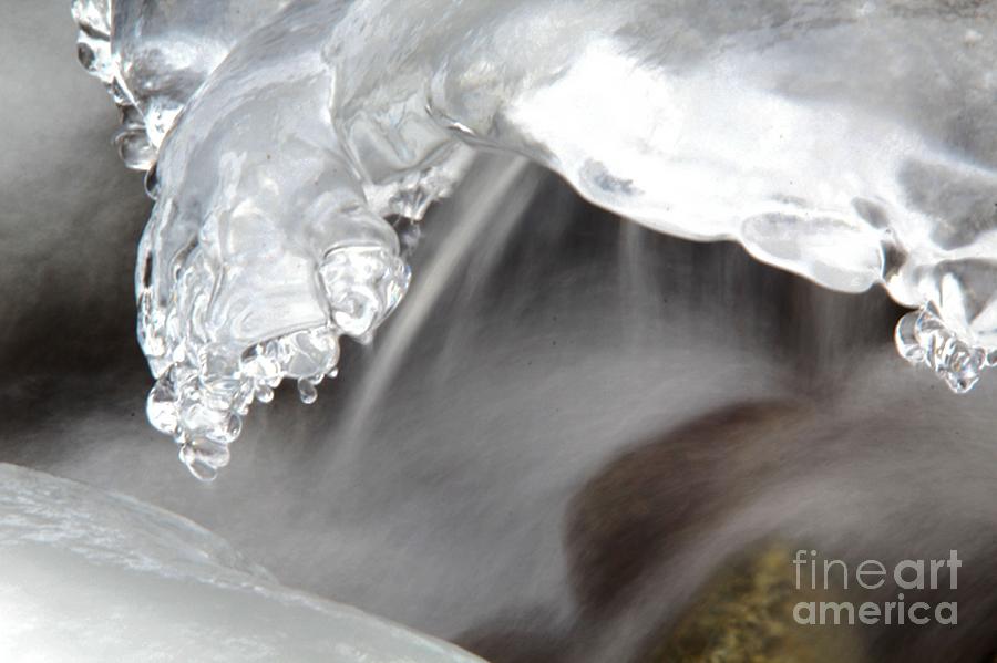 Ice Photograph - Dragon head by Roland Stanke
