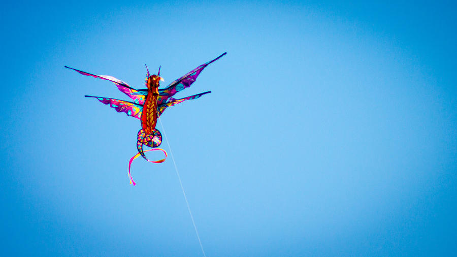 Dragon Kite Photograph