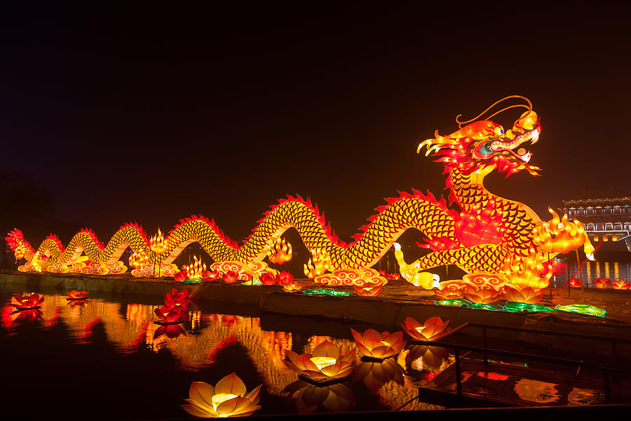 Dragon Lantern for celebrating Spring Festival Photograph by Pan Hong