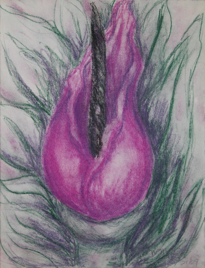 Dragon Lily Drawing