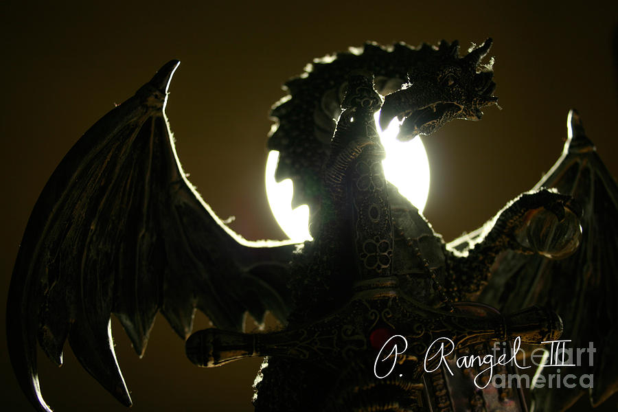 Dragon Photograph - Dragon by Phillip Rangel