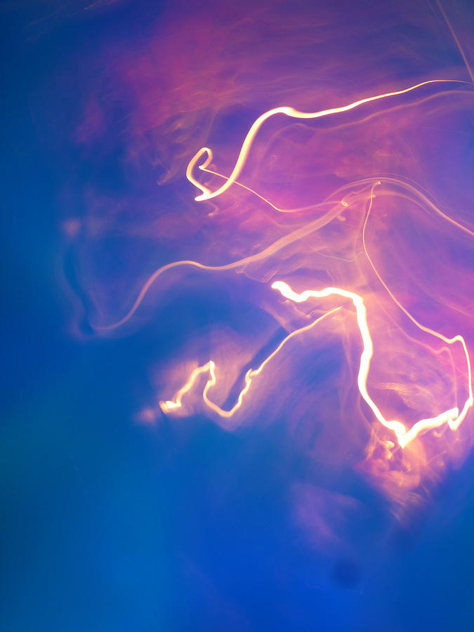 Dragon Photograph by Sheldon Landa Pixels