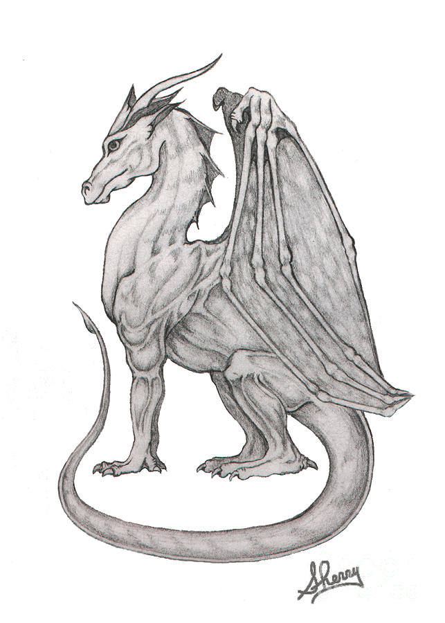 Dragon Sketch Drawing by Chaotic Expressions - Fine Art America