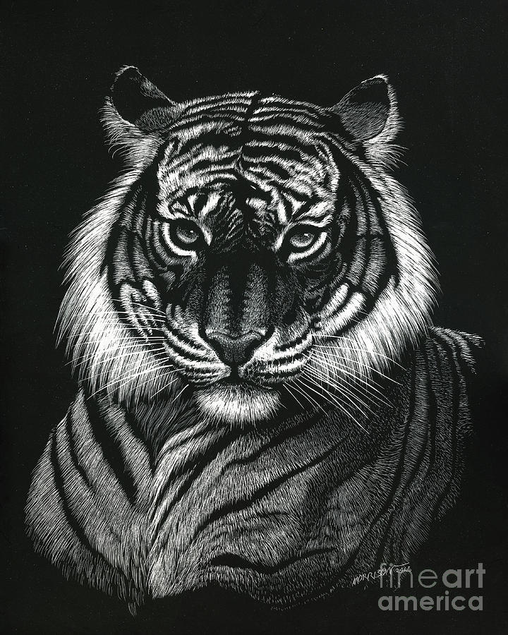 Dragon Tiger Digital Art by Stanley Morrison