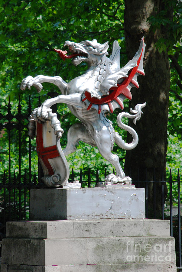 Dragon with St George shield Photograph by Richard Gibb