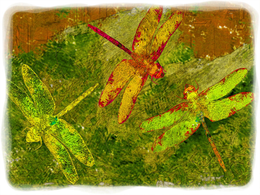 Abstract Photograph - Dragonflies Abound by Jack Zulli