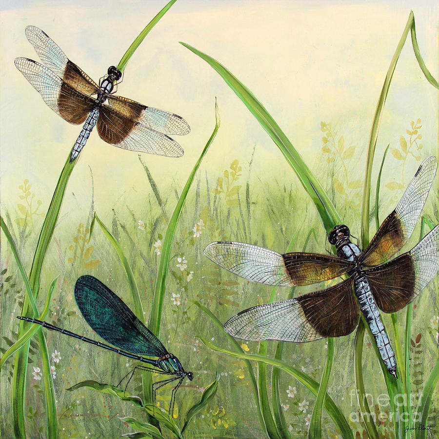 Dragonflies In the Meadow-2 Painting by Jean Plout - Fine Art America