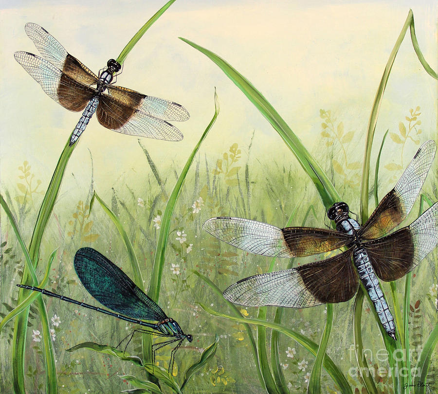 Dragonflies in the Meadow-A Painting by Jean Plout