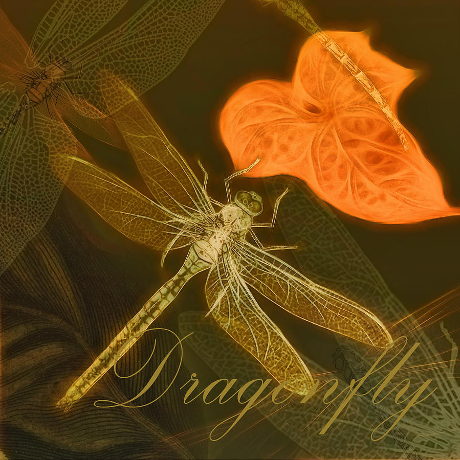 Dragonfly Painting by Douglas MooreZart