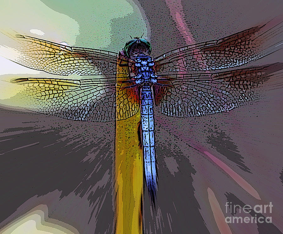 Dragonfly Digital Art by Elizabeth McTaggart