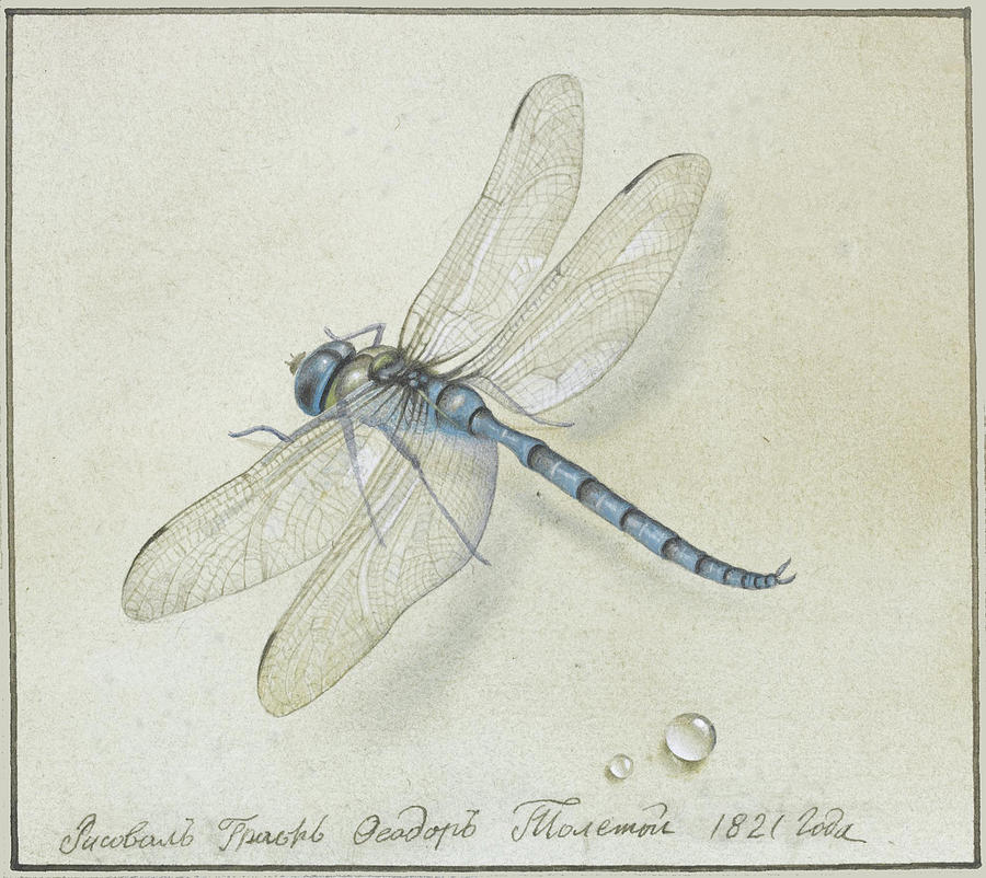 Dragonfly Painting by Fyodor Petrovich Tolstoy