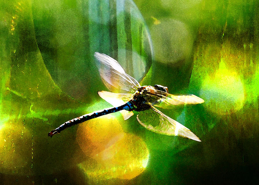 Dragonfly In Sunlight - Yellow Sunlight Mixed Media by Marie Jamieson