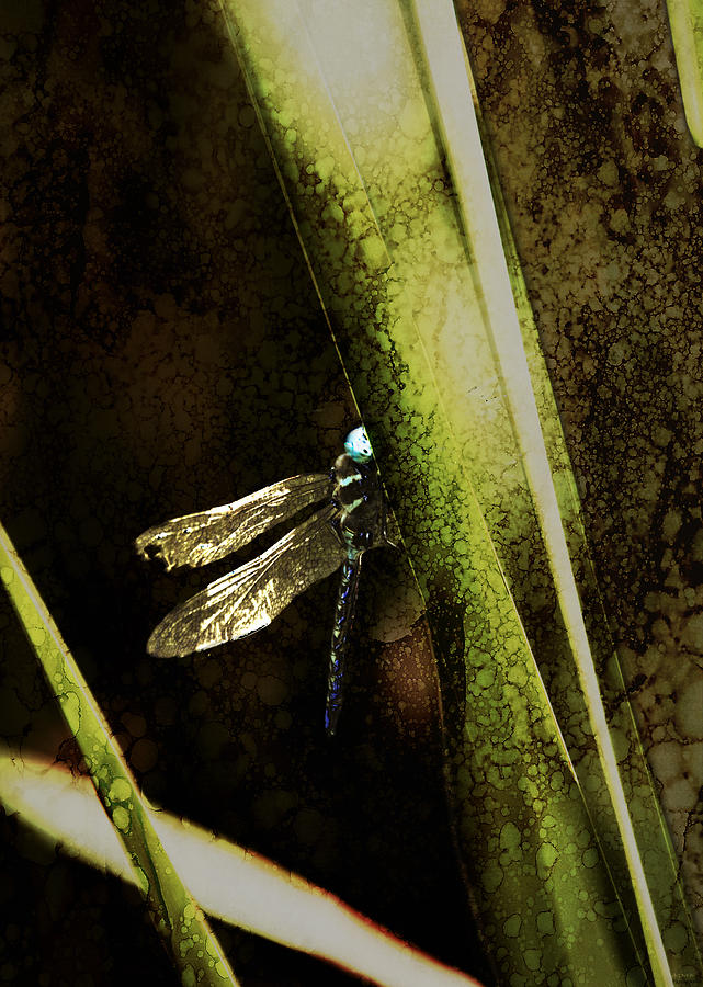 Dragonfly in the Shade Digital Art by AGeekonaBike Photography - Fine ...