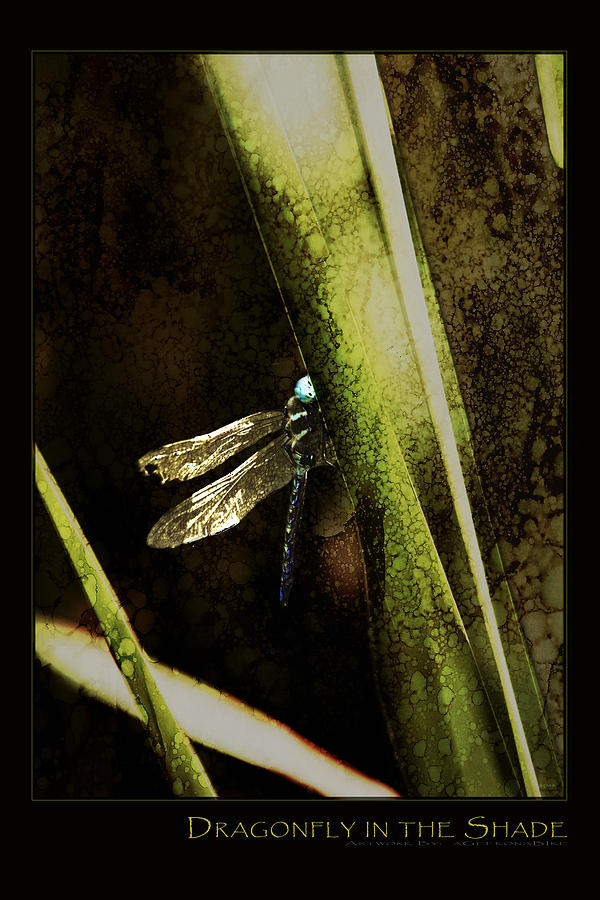 Insects Digital Art - Dragonfly in the Shade Poster by AGeekonaBike Photography