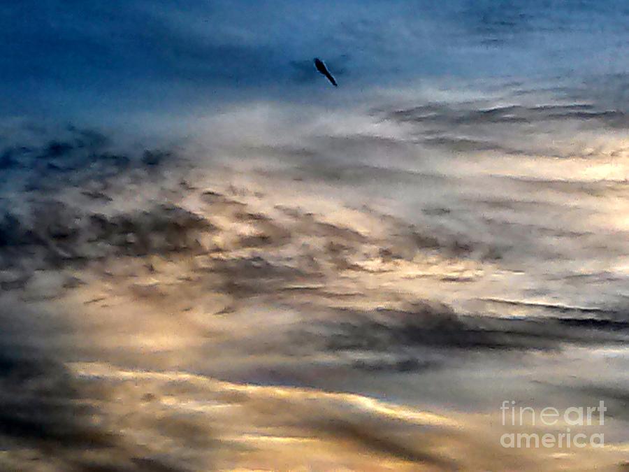 Dragonfly in the Sky Photograph by Tamara Michael