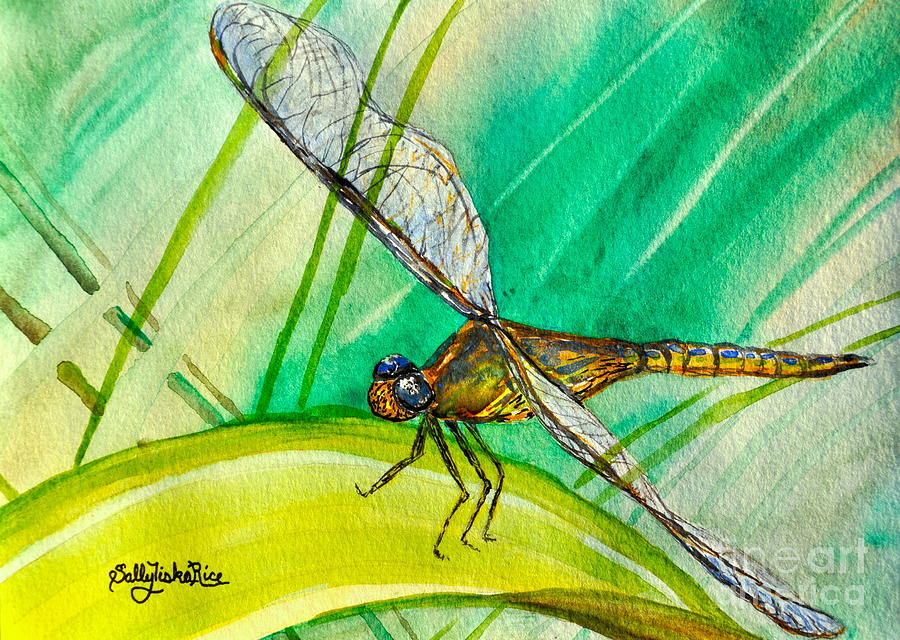 Summer Painting - Dragonfly In The Sun by Sally Tiska Rice