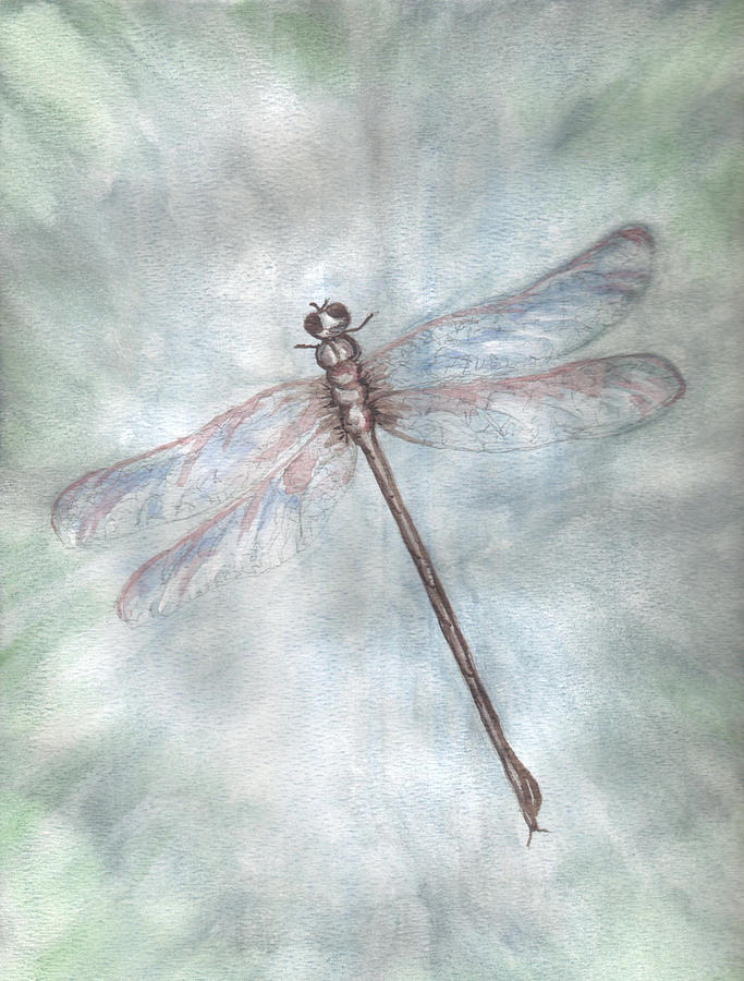 Dragonfly Painting - Dragonfly by Judith Rice