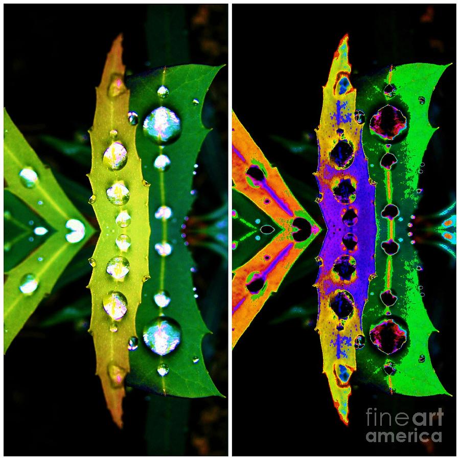 Nature Digital Art - Dragonfly by Lorles Lifestyles Nature Digital Art - Dragonfly by Lorles Lifestyles