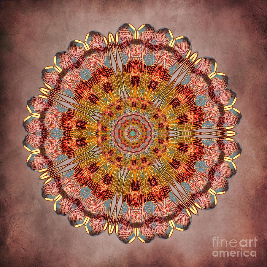 Dragonfly Mandala Digital Art by Deborah Smith