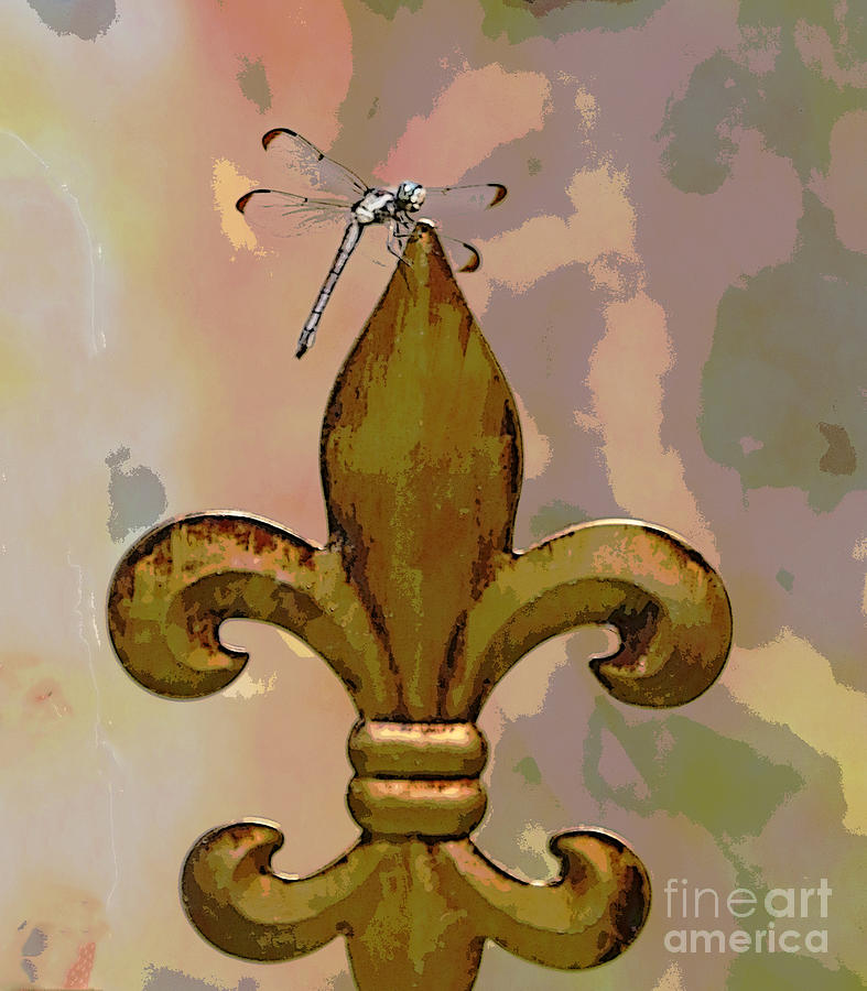 Dragonfly on Fleur De Lis Photograph by Luana K Perez