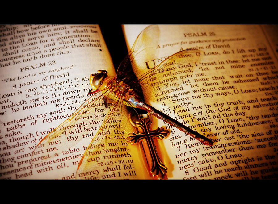 Dragonfly Photograph - Dragonfly on Psalms by Robin Nations