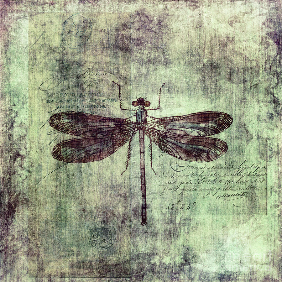 Nature Photograph - Dragonfly by Priska Wettstein