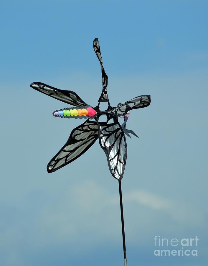 Dragonfly Wind Photograph by Lynellen Nielsen