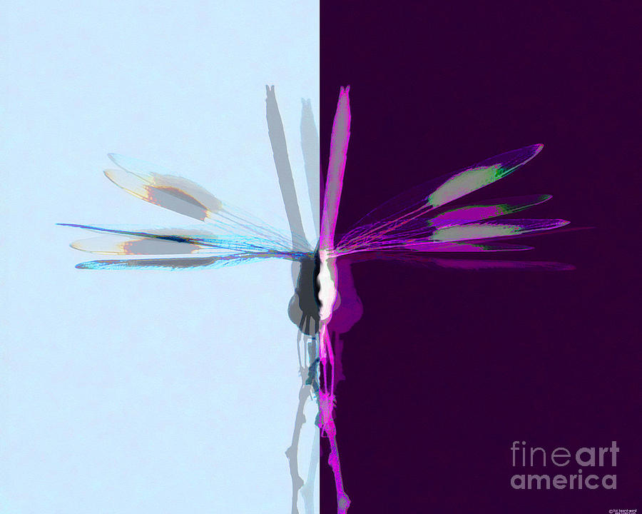 Dragonfly Work 1 Digital Art by Lizi Beard-Ward
