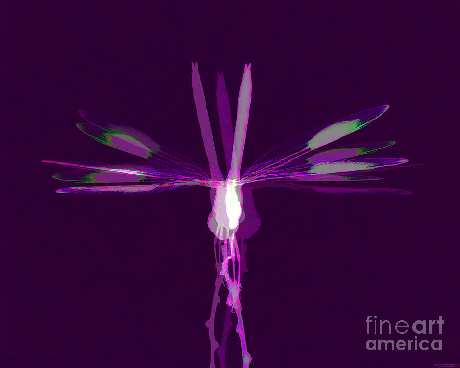 Dragonfly Work 2 Digital Art by Lizi Beard-Ward